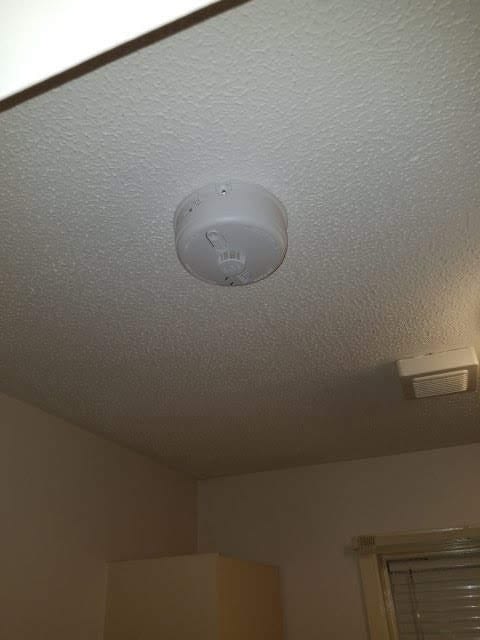 IMG_20190522_095146-rotated